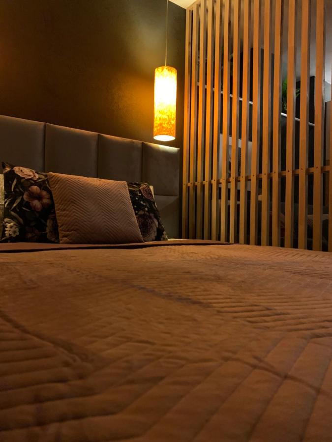 Petit Appartement Krakow Bagian luar foto
